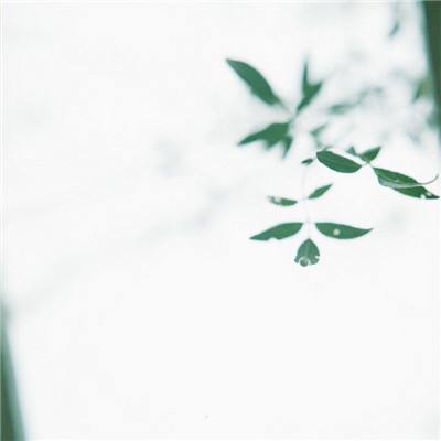 西游修仙记ol果盘版下载
